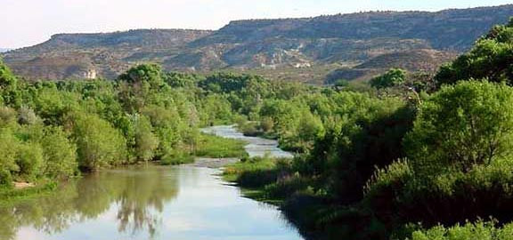 Cottonwood AZ Verde River